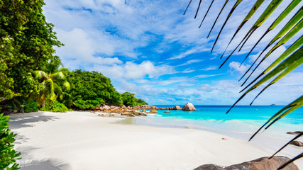 Paradise beach.White sand,turquoise water,palm trees at tropical beach,seychelles 2