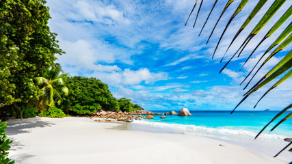 Paradise beach.White sand,turquoise water,palm trees at tropical beach,seychelles 3