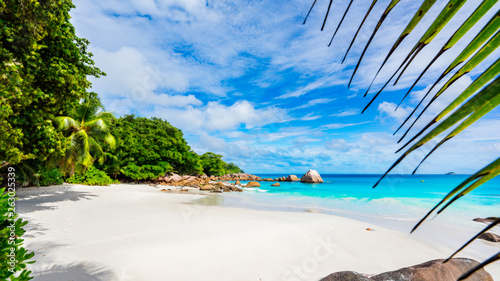 Paradise Beach White Sand Turquoise Water Palm Trees At