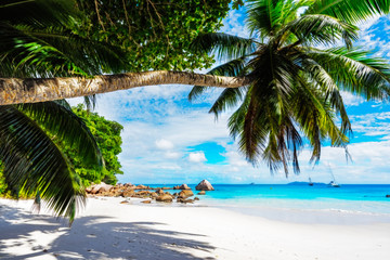 Paradise beach.White sand,turquoise water,palm trees at tropical beach,seychelles 25