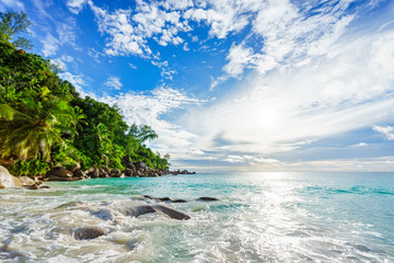 Paradise tropical beach with rocks,palm trees and turquoise water in sunshine, seychelles 28