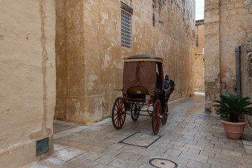 Fototapeta na wymiar view of alley with carriage and horse