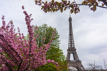 Paris, France, 2019: Eiffel Tower in sunny spring day in Paris, France