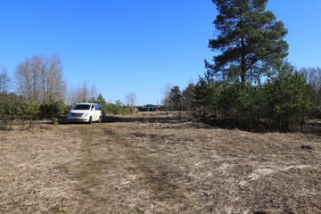  car in the forest