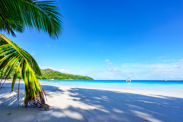 Paradise beach.White sand,turquoise water,palm trees at tropical beach,seychelles 13