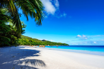 Fototapeta na wymiar Paradise beach.White sand,turquoise water,palm trees at tropical beach,seychelles 16