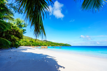 Fototapeta na wymiar Paradise beach.White sand,turquoise water,palm trees at tropical beach,seychelles 17