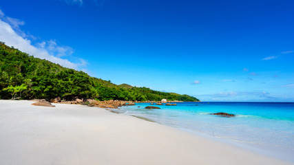 Fototapeta na wymiar Paradise beach.White sand,turquoise water,palm trees at tropical beach,seychelles 21