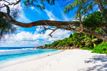 beautiful tropical beach with granite rocks,white sand,turquoise water,seychelles 2