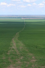 Green meadows and pasture.
