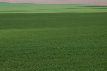 Green meadows and pasture.
