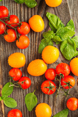 Fresh ripe garden tomatoes and basil on wooden table.