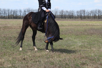 Race horses and riders on them.