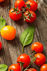 Fresh ripe garden tomatoes and basil on wooden table.
