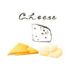 Variety of cheese sorts. Hand drawn illustration of cheese types . Sketch isolated on white and colored vector for menus and shop stickers