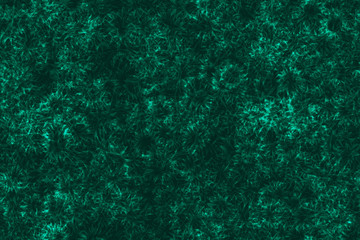 Dark green magic stars repeatable pattern