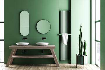 Green bathroom interior with double sink