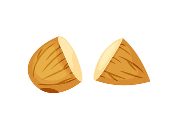 Cut almonds vector illustration isolated on white background. Two halves of almonds