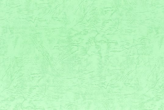 ライトグリーン Images Browse 1 510 Stock Photos Vectors And Video Adobe Stock