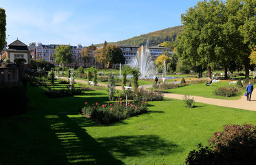 Rose garden in Bad Kissingen, Germany