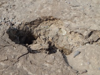 Ravine in the sand. Soil erosion. The failure of the soil close-up.