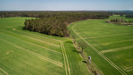 Wiosna- Polowanie na zwierzęta © BlackMediaHouse