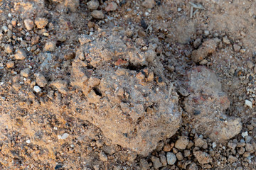 Nature of Outdoor soil lumps.