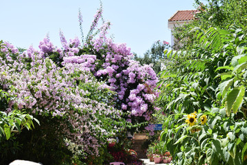kefalonia, greece, island, village, ionian, summer