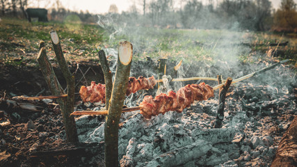 meat on the stick grilled in the fire. bushcraft concept
