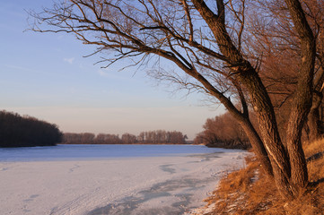 Fototapeta na wymiar Frost river with snowand naked trees. Winter sunset in warm brown colors 