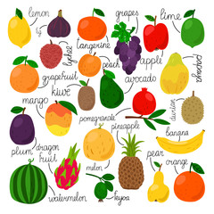 Edible fruits collection. Tropical fruit set with names, juicy pear and peach, pineapple and orange, garnet and kiwi isolated