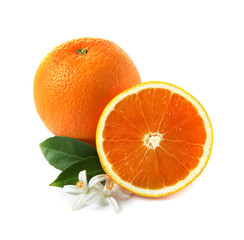 Ripe oranges, leaves and flowers on white background. Citrus fruit