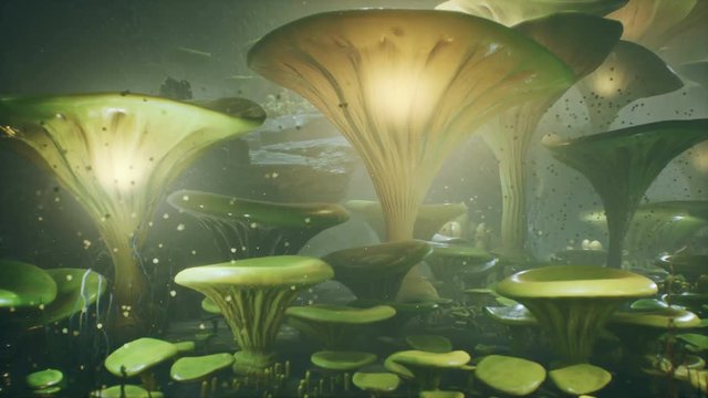Fantasy mushrooms in a magic forest. Beautiful magic mushrooms in the lost forest and fireflies on the background with the fog.