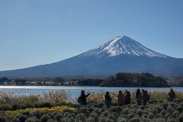 Fototapeta na wymiar Autumn Season Fuji Mountain at Kawaguchiko lake, Japan.