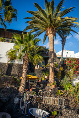 Fototapeta na wymiar Il giardinio di una villa sul lungomare di Puerto del Carmen, Lanzarote, Isole Canarie