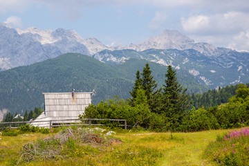 Wooden house at famous  Velika planina pastures in Slovenian Alps