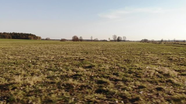 Drone shot of meadow with trees in the background. Freshly mowed grass. Flying away of the barbed wire fence. Field of spring flowers.