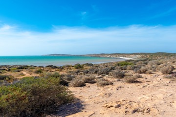 Coastal line close to shark bay in Western Australia