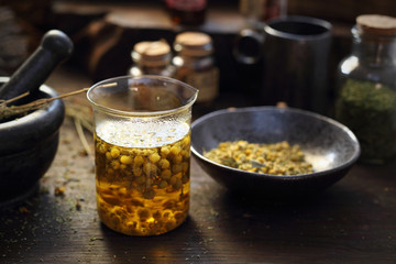 Chamomile, herbs in traditional medicine, home medicine cabinet