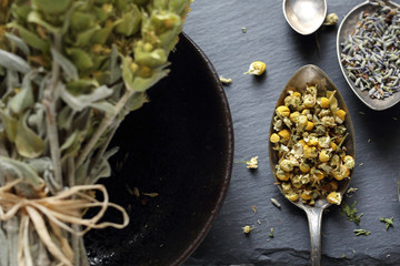 Herbal medicine Chamomile, lavender, horsetail, nettle, herbs in traditional medicine, home medicine cabinet