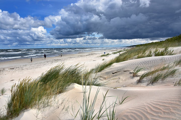 Morze Bałtyckie - Plaża - mierzeja wiślana - wydma Jantar - obrazy, fototapety, plakaty