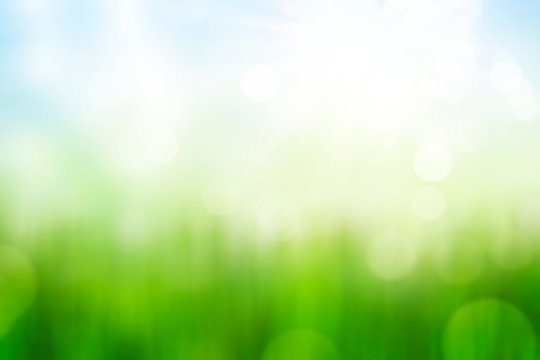Green Grass And Blue Sky Abstract Background With Bokeh