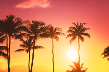 Naklejka na ściany i meble Palm tree silhouette on a background of tropical sunset