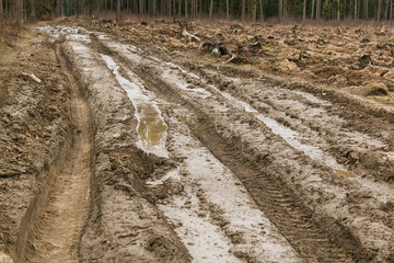 Dirty forest, impassable road in the spring thaw broken by melting snow and broken by heavy vehicles. Passing in the forest of the Moscow region. Russian Federation.
