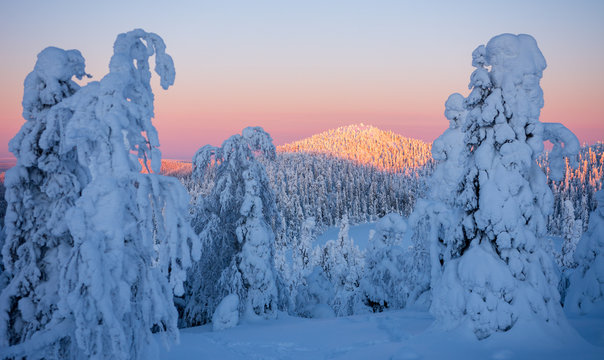 Landscape in Kuusamo
