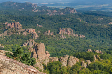Fototapeta na wymiar Belogradchik rocks during summer, with trees surrounding the stunning rock formations.