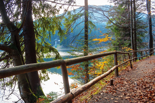 synevyr mountain lake in autumn evening. beautiful nature scenery of carpathian mountains. fallen foliage. wooden fence along the path around the body of water