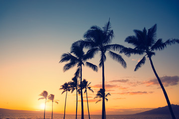 Obraz na płótnie Canvas Palm tree silhouette on a background of tropical sunset