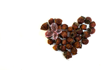 rose hips laid out heart