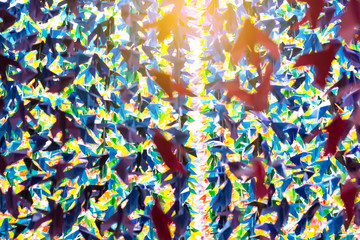 Fototapeta na wymiar Colorful paper birds hanging together on sunlight through window ceiling. 